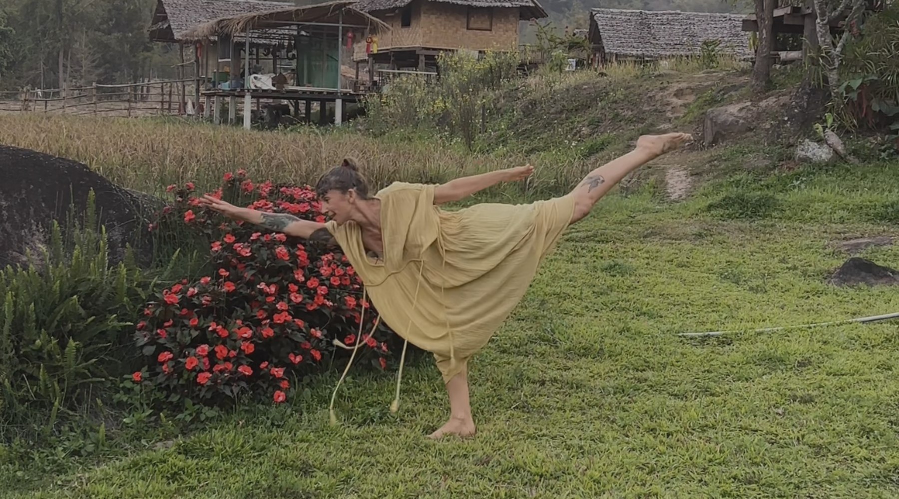 Lola moving freely through a yellow field