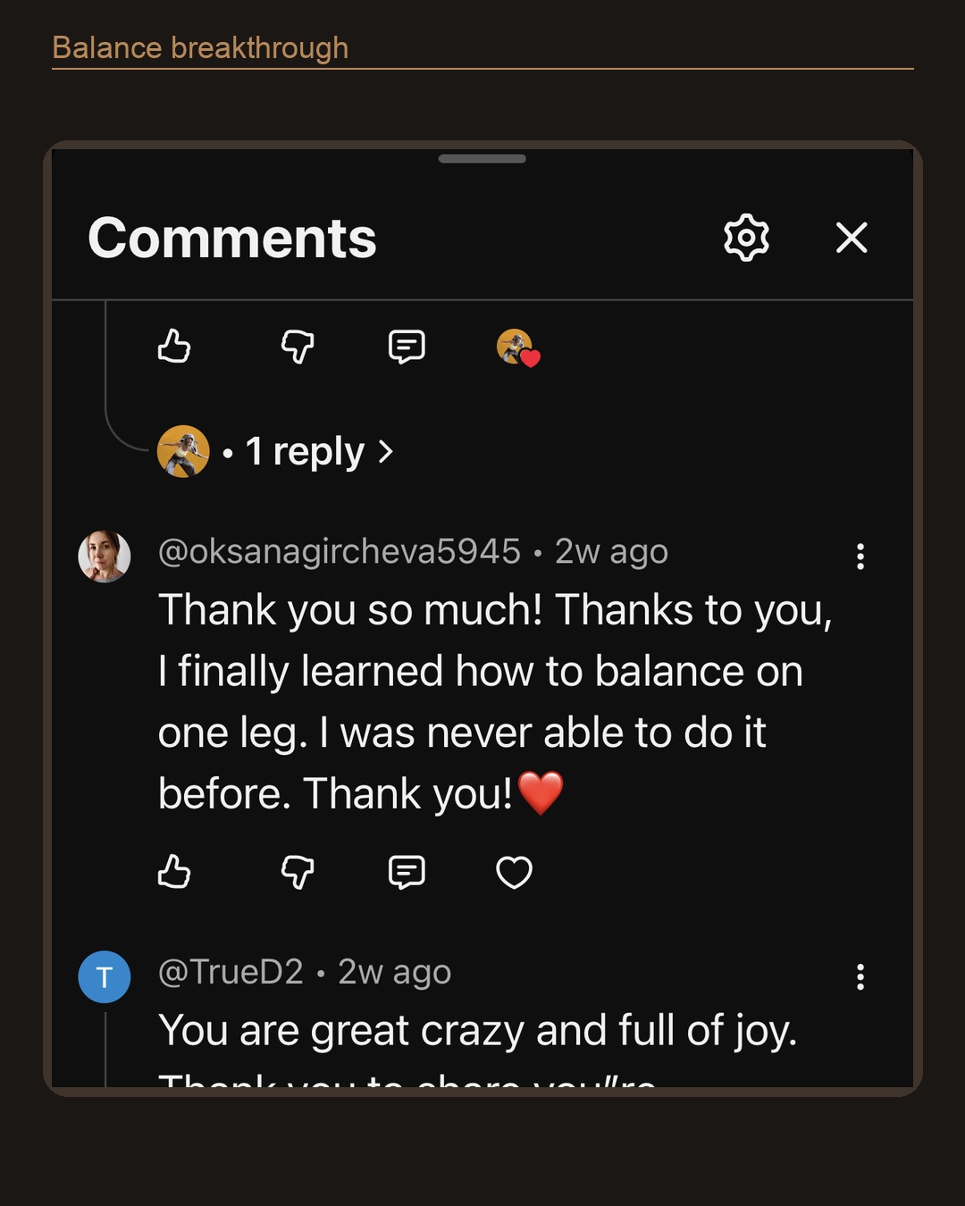 Screenshot testimonial from a Dragon Wings follower