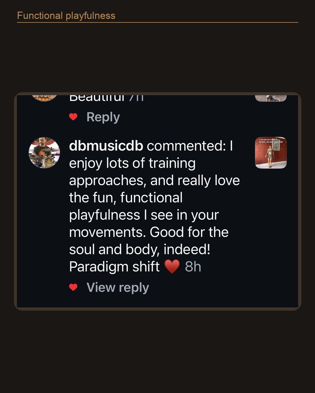 Screenshot testimonial from a Dragon Wings follower